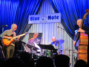David Blue Note